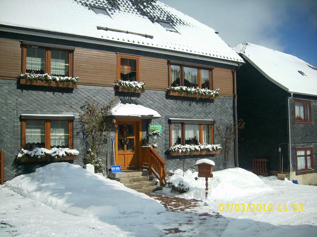 Apartment In Thuringian Forest With Garden Schwarzatal Bagian luar foto